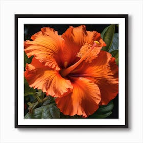 Orange Hibiscus Flower 1 Art Print