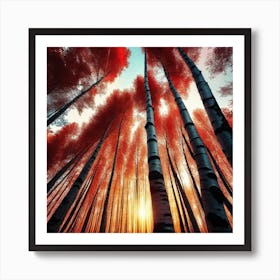 Red Birch Forest 1 Art Print