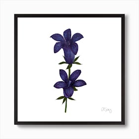 Double Purple Flower 2 Art Print