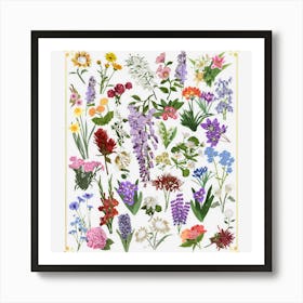 Vintage Botanical Art Flower Gift For Plant Growers Art Print