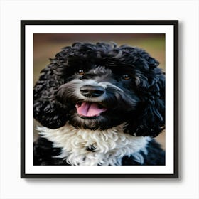 Black Poodle Art Print