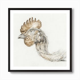 Head Of A Dead Chicken 1, Jean Bernard Art Print