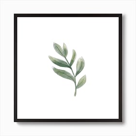 Watercolor Leaf Art Print