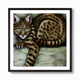 Wild Cat Art Print