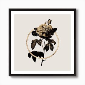 Gold Ring Vintage Duchess of Orleans Rose Glitter Botanical Illustration n.0049 Art Print