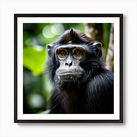 Black Endangered Nature Lowland Malaysia Mammal Buddhism Travel Beautiful Zoo Building Te Art Print