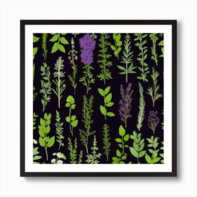 Herbs On A Black Background Art Print