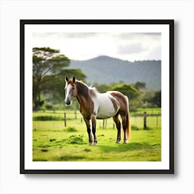 Horse In A Field 13 Art Print