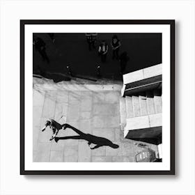 Shadow Games Art Print