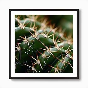 Cactus Art Print