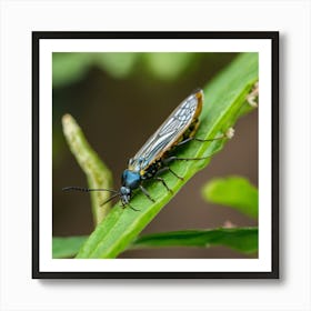 Blue Bug On Leaf 1 Art Print