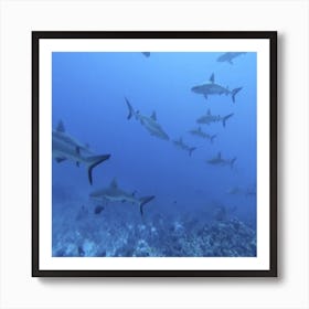 Real Views From The Depth Of The Sea 5 Art Print