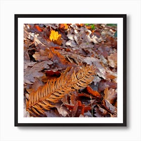 Autumn Art Print