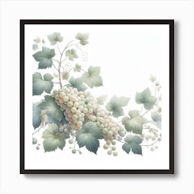 White Grapes and Vine Art Print