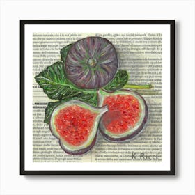 Figs On Italian Newspaper Purple Garden Exotic Fruit Minimal Dining Room Kitchen Decor from original Oil Painting Art Print