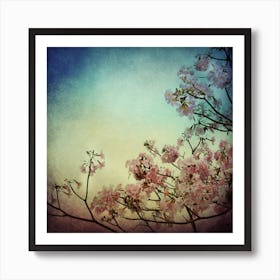 Pink Cherry Blossoms Art Print