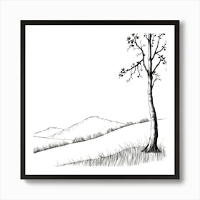 Birch Tree Art Print