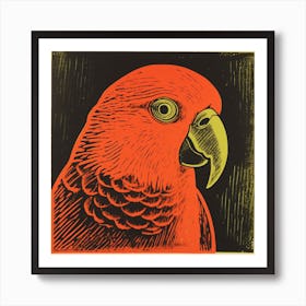 Retro Bird Lithograph Parrot 4 Art Print