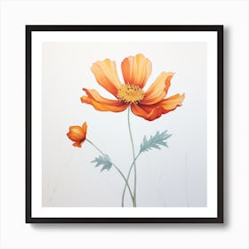 Orange Poppy 1 Art Print