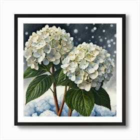 Hydrangeas Art Print