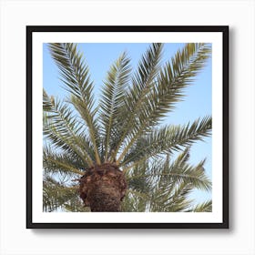 Under A Palm Tree Art Print