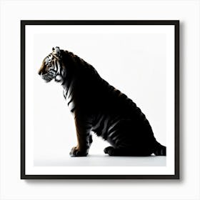 Royal Bengal Tiger Silhouette Minimalist Style Stark Contrast Against A Stark White Background Sh Art Print