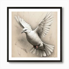 Dove In Flight  ma Art Print