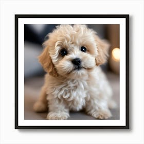 Small Puppy Art Print