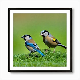 Two Birds On Grass Art Print