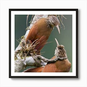 Two Birds Perched On A Branch Art Print