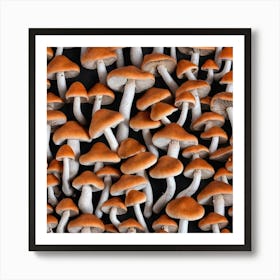 Mushrooms On A Black Background 3 Art Print
