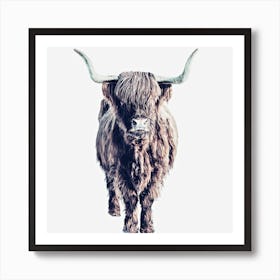 Highland Cattle Colin White Square Art Print