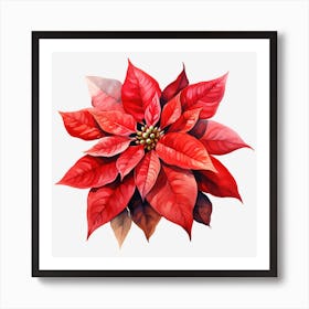 Poinsettia 23 Art Print