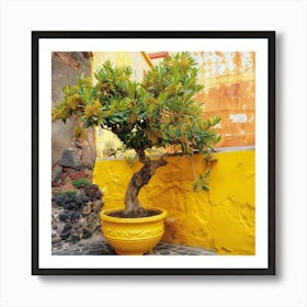 Olive Tree In Yellow (I) Art Print