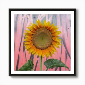 Sunflower off pink Art Print