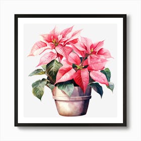 Poinsettia 29 Art Print