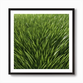 Green Grass 42 Art Print