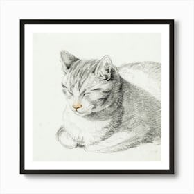 Sketch Of A Cat (1808), Jean Bernard Art Print