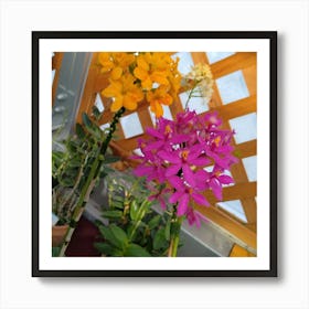 Orchids In A Greenhouse 2 Art Print