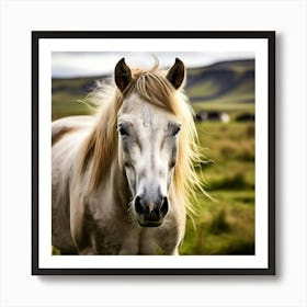 Grass Mane Head Equestrian Horse Rural White Iceland Nature Brown Field Mammal Pony Wil (2) 2 Art Print