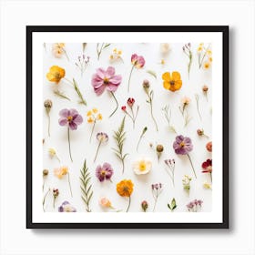 Dried Wild Flowers 16 Art Print