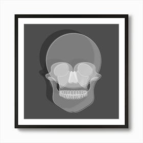 Human Skull Art Print