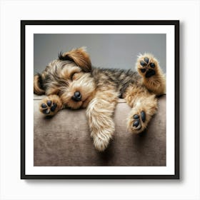 Yorkshire Terrier Puppy Sleeping Art Print