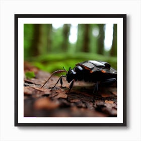 Beetle In The Forest Art Print