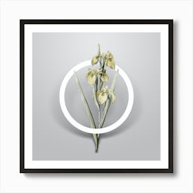Vintage Irises Minimalist Floral Geometric Circle on Soft Gray n.0282 Art Print