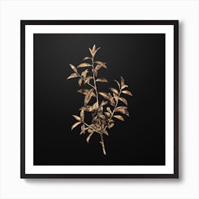 Gold Botanical Alabama Dahoon Branch on Wrought Iron Black n.4238 Art Print