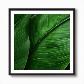 Close Up Of Green Leaves Art Print