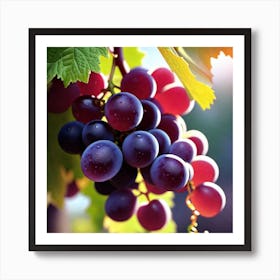 Grapes On The Vine 17 Art Print