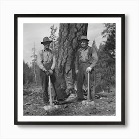 Grant County, Oregon, Malheur National Forest, Lumberjack Starting The Undercut By Russell Lee 2 Art Print
