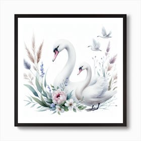 Pair of swans 1 Art Print